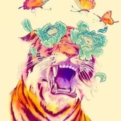 Gringy