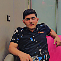 طه علي الخولي