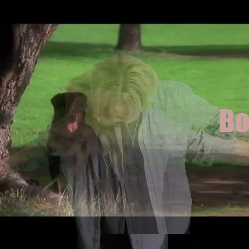 BoCCu BXX — artist photo