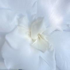 user2468whodoyouappreciate