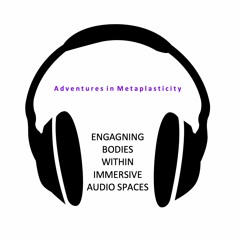 Adventures in Metaplasticity