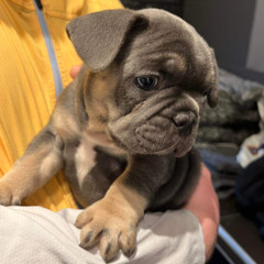 Kieran🅱️💯🔪