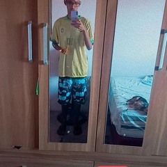 Gabriel Rodrigues Botelho