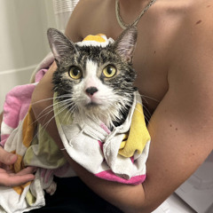 untitled(notfinished)