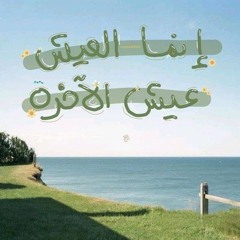 nour fayez
