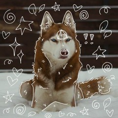HuskyPotato
