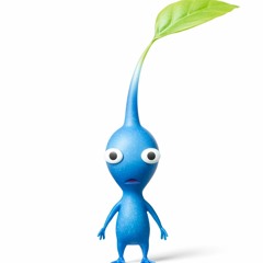 zylchris