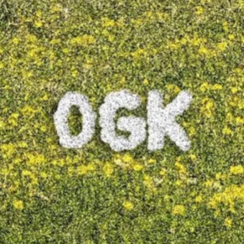 OGK’s avatar