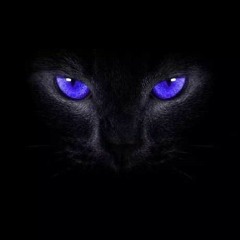 Killercat