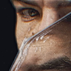 The Birds, The Trees