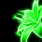 greenf15h