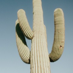 Saguaro Productions PHX