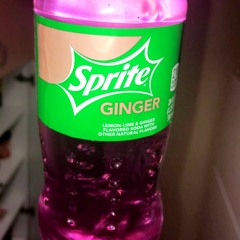 ElevN Luis Cavallero