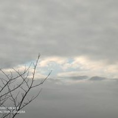 Діма Белоноженко