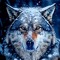 Wolf881 Sky