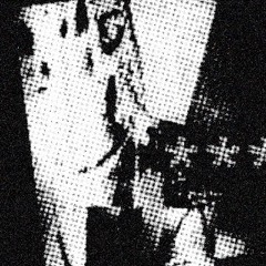 POLISH PHONK COLLECTIVE