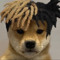 playboihachi
