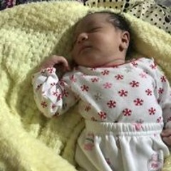 Assane Muhamed