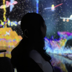 infestationimagination