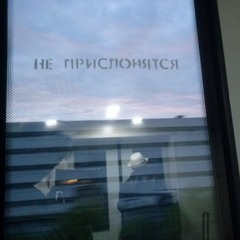 Mischa Stone