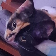 Lollipoooooopsssss666