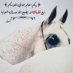Alsh00g