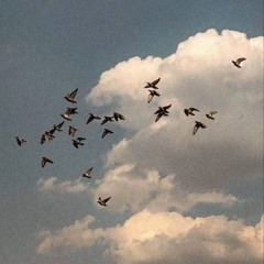 رَحـْـمــة