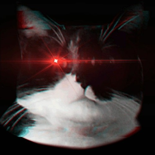 Stream Busy and the Busted Knuckle Band music Listen to songs, albums, playlists for free on