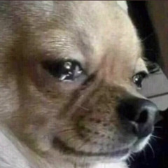 ignorance is elegant