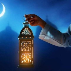 omarhabib
