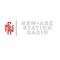 New-Ark Station Radio