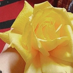 شوق الهوادي