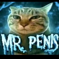 mr pensil
