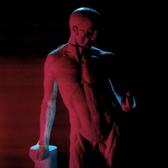 Statues In Motion