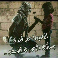 ابوتراب