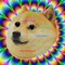 LSD Doge