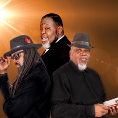 Cousins with No Veil