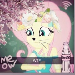 qqqq.