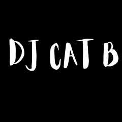 Dj Cat B