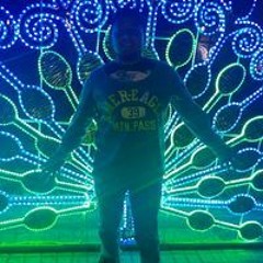 Pelon Hause
