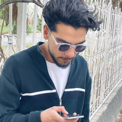 amirhosein faramarzi