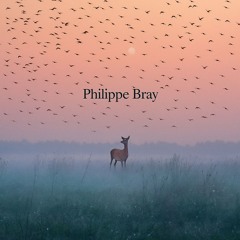Philippe Bray