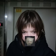 попа дикобраза