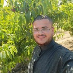 Ahmed Ayman Khater