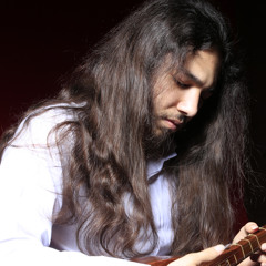 seyed vesal hoseini