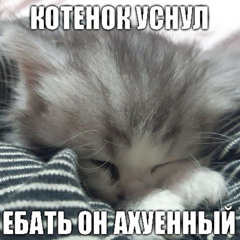katyarubchinskaya