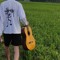 youreturn