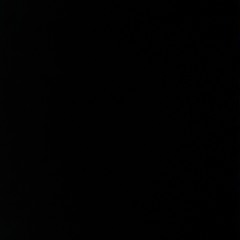 user486509149