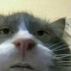 Аяно
