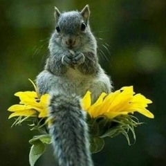 Religious Fairytale Boy